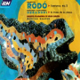 Rodo: Symphony No. 2 - I. Andante mosso