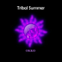 Tribal Summer (Original)