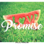 Promise