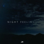 Night Feelings (Original Mix)
