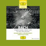 J.S. Bach: Sonata for Violin Solo No. 1 in G Minor, BWV 1001: I. Adagio