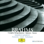 Brahms: Clarinet Quintet in B Minor, Op. 115 - I. Allegro