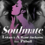 Soulmate (feat. Pitbull) [EDM Radio]