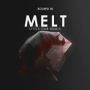 Melt (Little Cub Remix)