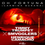 Oh Fortuna (Carmina Burana - VIP Mix)