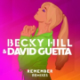 Remember (Benny Benassi Remix)