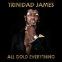 All Gold Everything (Album Version (Edited))