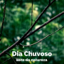 Dia Chuvoso