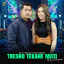Tresno Tekane Mati (New Version)