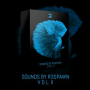 Sounds by R3SPAWN Vol. 02