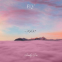 Fly (Extended Version)