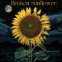 Broken Sunflower