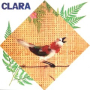 Deixa Clarear