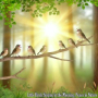 Little Birds Singing in the Morning, Harmony of Nature