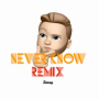 Never Know (Remix)