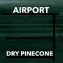 Dry Pinecone