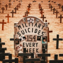 Military Suicides