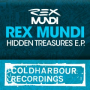 Hidden Treasures (Original Mix)
