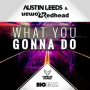 What You Gonna Do (Original Mix)