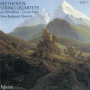 Beethoven: String Quartet No. 13 in B-Flat Major, Op. 130: I. Adagio ma non troppo – Allegro