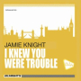 I Knew You Were Trouble (Almighty Radio Edit)
