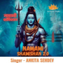 Namami Shamishan 2.0