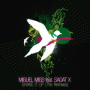 Shake It Up (Miguel Migs Salted Dub Deluxe)