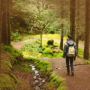 Walking in Forest Sounds of Nature for Relaxation and Creative Thinking
