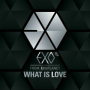 What Is Love (Chinese Version)