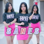 Sanes