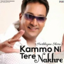 Kammo Ni Tere Nakhre