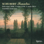 Schubert: Piano Sonata in C Major, D. 613: II. Finale. Allegretto (Unfinished)