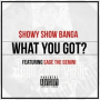 What You Got (feat. Sage The Gemini)