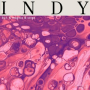 indy