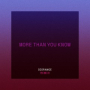 More Than You Know (Diorange Remix)