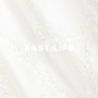 Past Life