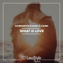 What Is Love (Extended Mix)
