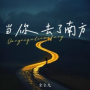 当你去了南方 (Dj点点版)