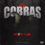 DFW Cobras