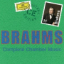 Brahms: Piano Trio No. 1 in B Major, Op. 8 - I. Allegro con brio