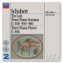 Schubert: Piano Sonata No. 19 in C Minor, D. 958 - IV. Allegro
