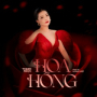 Hoa Hồng