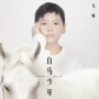 白马少年