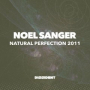 Natural Perfection 2011 (Sam Stroke and Isaac Fisherman Remix)