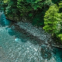 Free Flowing Mountain Stream in Middle of Switzerland