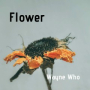 Flower (feat. Grim Reeps)