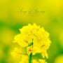 Spring Song