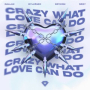 Crazy What Love Can Do (Techno Mix)