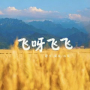 飞呀飞飞