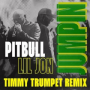 JUMPIN (Timmy Trumpet Remix)